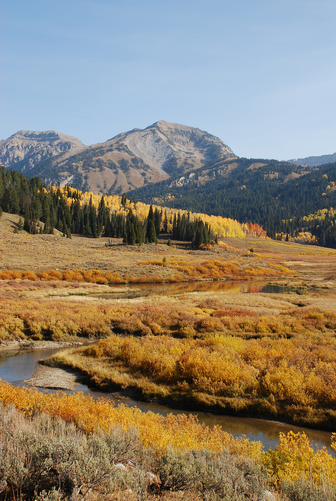 Shoal Creek, Wyoming - View upstream to the Gros Ventre Range, early October, from the Shoal Creek trail