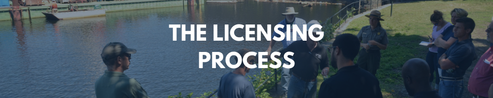 The Licensing Process