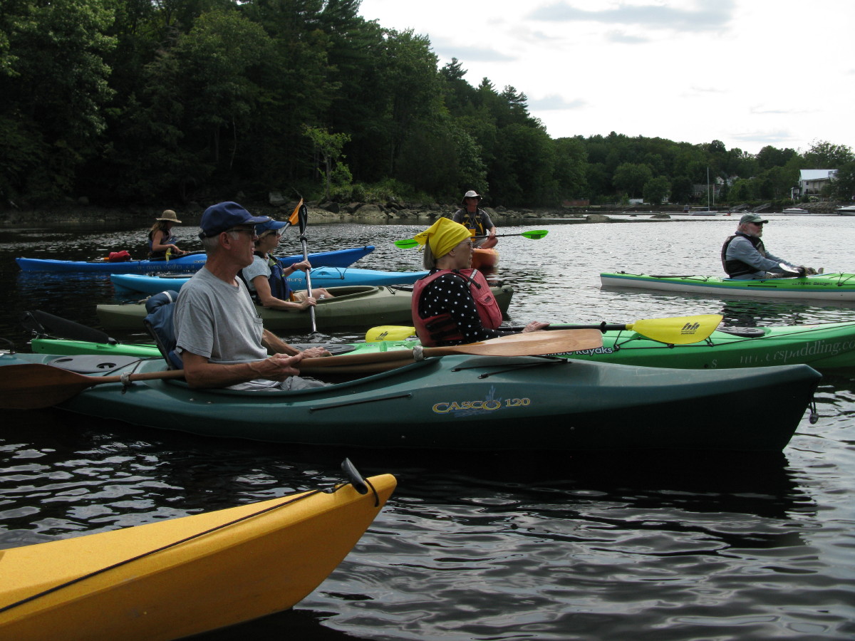 A group of kayakers on the Lamprey River in New Hampshire. The kayakers are floating on calm open water near a tree covered bank.