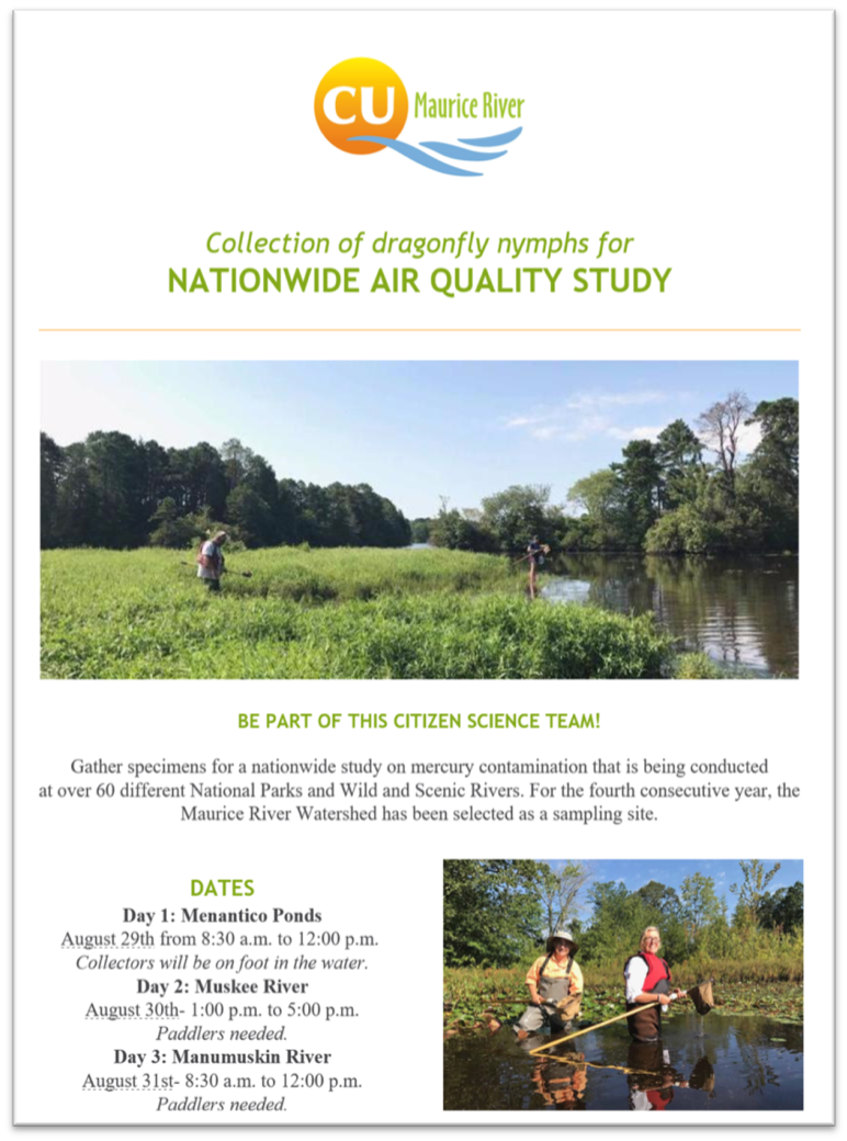 Flyer for the collection of dragonfly nymphs for Nationwide Air Quality Study. The Flyer reads ‘Be Part of this Citizen Science Team! Gather specimens for a nationwide study on mercury contamination that is being conducted at over 60 different National Parks and Wild and Scenic Rivers. For the fourth consecutive year, the Maurice River Watershed has been selected as a sampling site.’ The flyer proceeds to give dates, times, and who or what is needed for collection