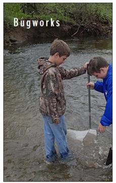 Two children are wading in the Missisquoi and Trout River, the water is hitting their ankles while they are both holding a single net in the river. The word ‘Bugworks’ in white sits in the upper left corner of the image.