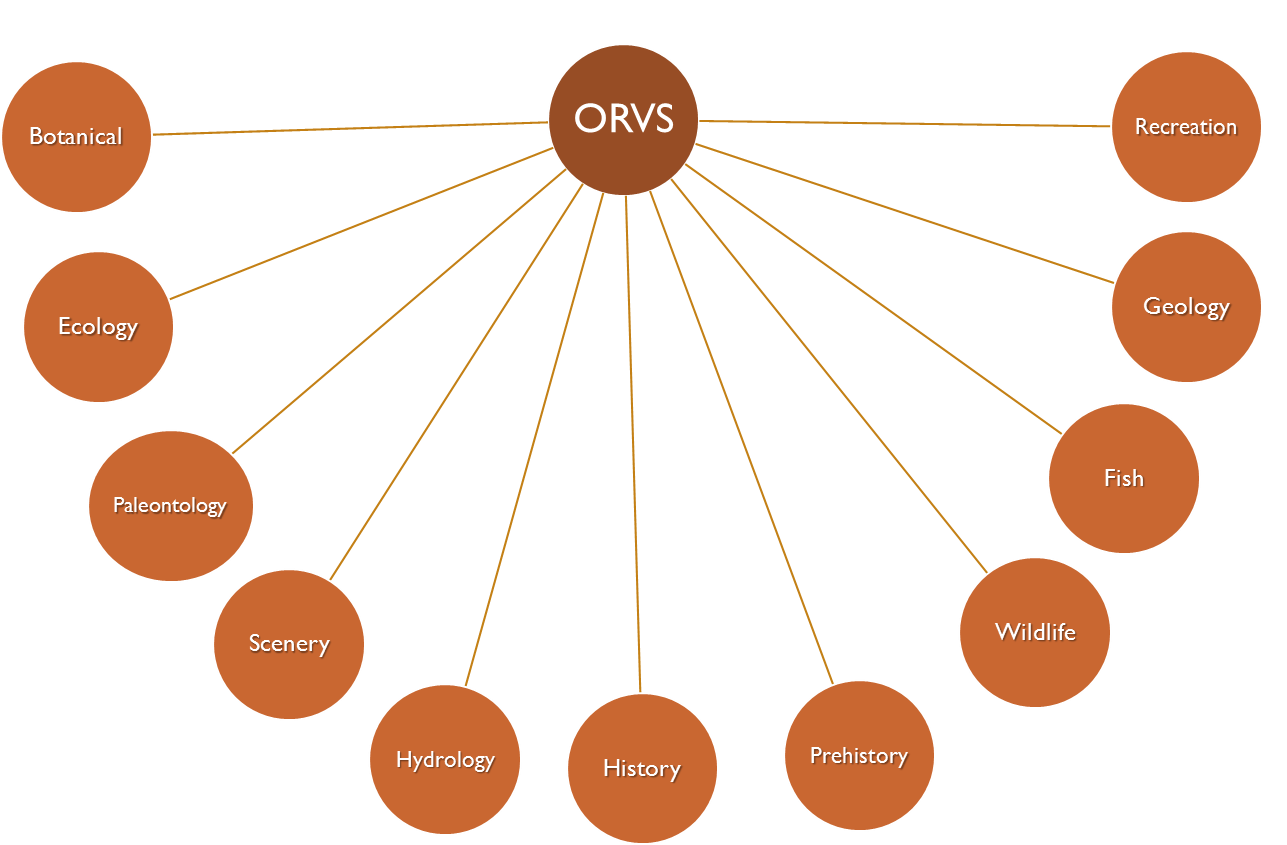 ORV Categories