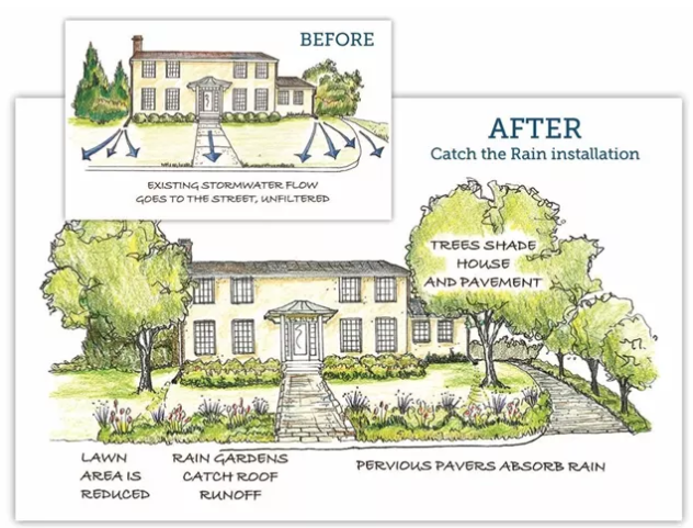 Green stormwater infrastructure can improve water quality by using landscape features to capture and soak up precipitation. Credit: Catch the Rain Program website.