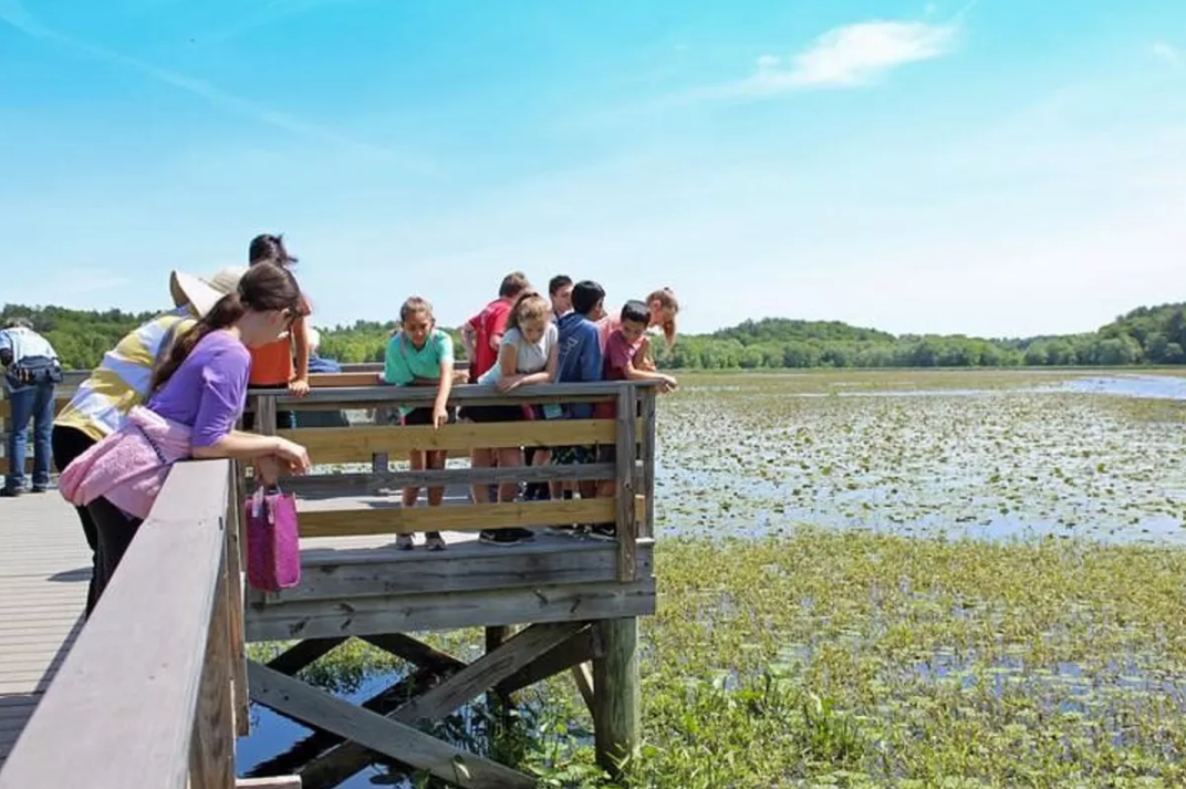 The Riverschools program is based both in the classroom and outdoors. Visiting the river is a highlight for the educators and students alike. Above shows the Great Meadows National Wildlife Refuge. Photo credit: Kelly Moffett.