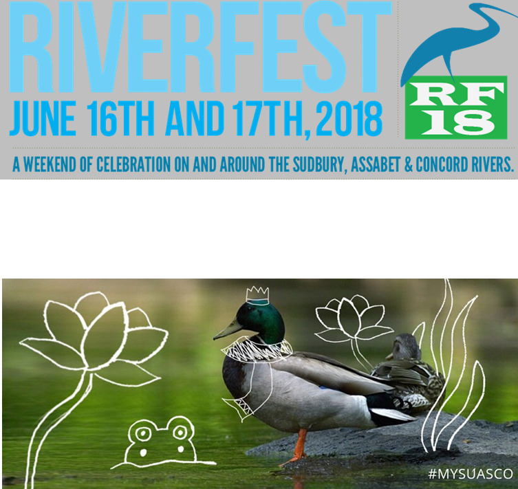 Riverfest 18 Poster, the words ‘Riverfest June 16th and 17th, 2018: A weekend of celebration on and around the Sudbury, Assabet, and Concord Rivers’ are emblazoned across the top along side the Riverfest 18 logo which  consists of a logo of a crane sitting atop a light green block with the text ‘RF18’ contained within the square. At the bottom of the poster an image of a mallard  is shown with playful child-like doodles on top.