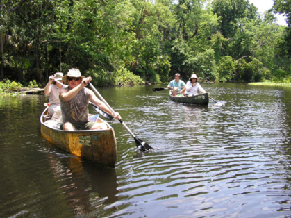 Four individuals are paddling down the Wekiva river on two canoes.