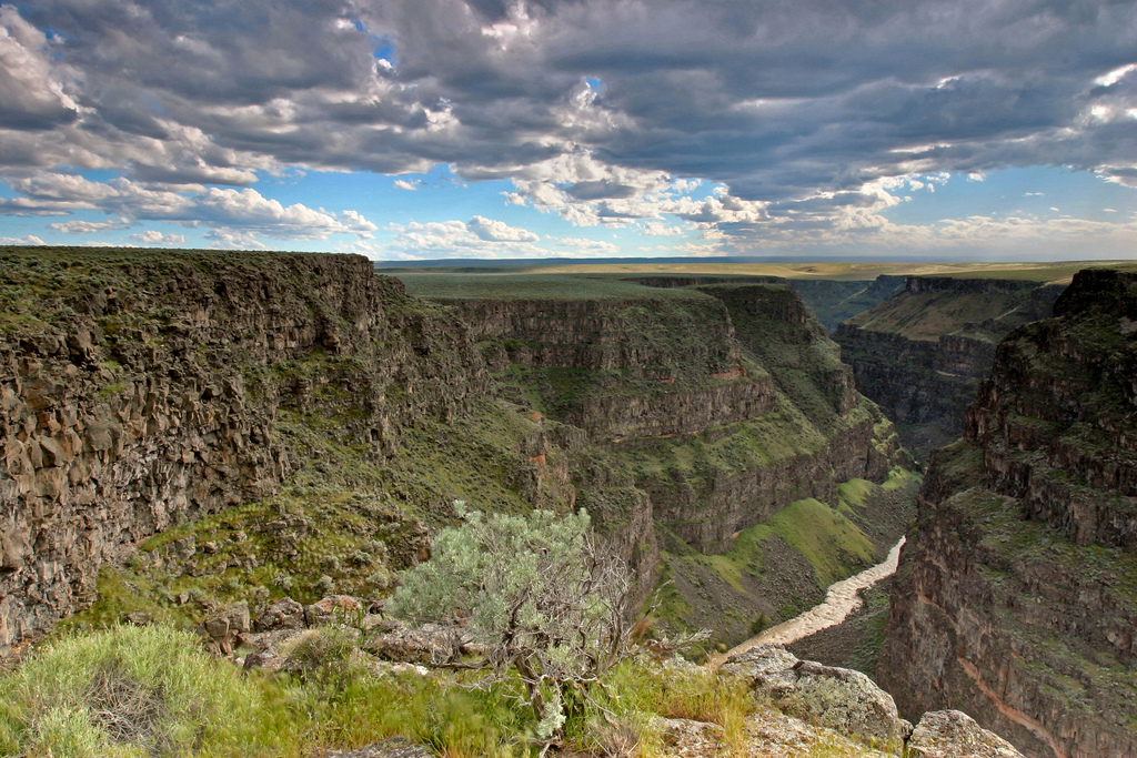 Bruneau River Canyon - designated Wild in 2009. Photo: Kevin Lewis Photo given to Senator Mike Crapo this photo in recognition for his tremendous support of the Owyhee Initiative which designated 517,000 acres of public land as the Owyhee-Bruneau Wilderness, released 199,000 acres of wilderness study areas to non-wilderness multiple use management and designated 316 miles of Wild and Scenic Rivers.