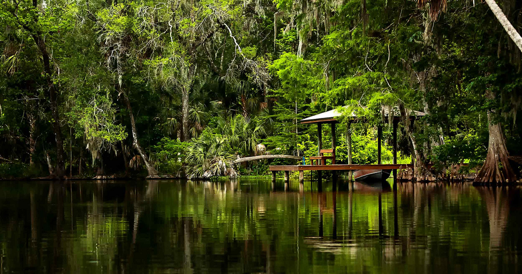 Quiet Boat Dock on the Wekiva River, Florida. Photo: Janine Edmondson Just a little ways down from Katie's Landing on the Wekiva River is this quite little dock. It's almost at the end of civilization. The canopy of trees here makes this area rich with vegetation.
