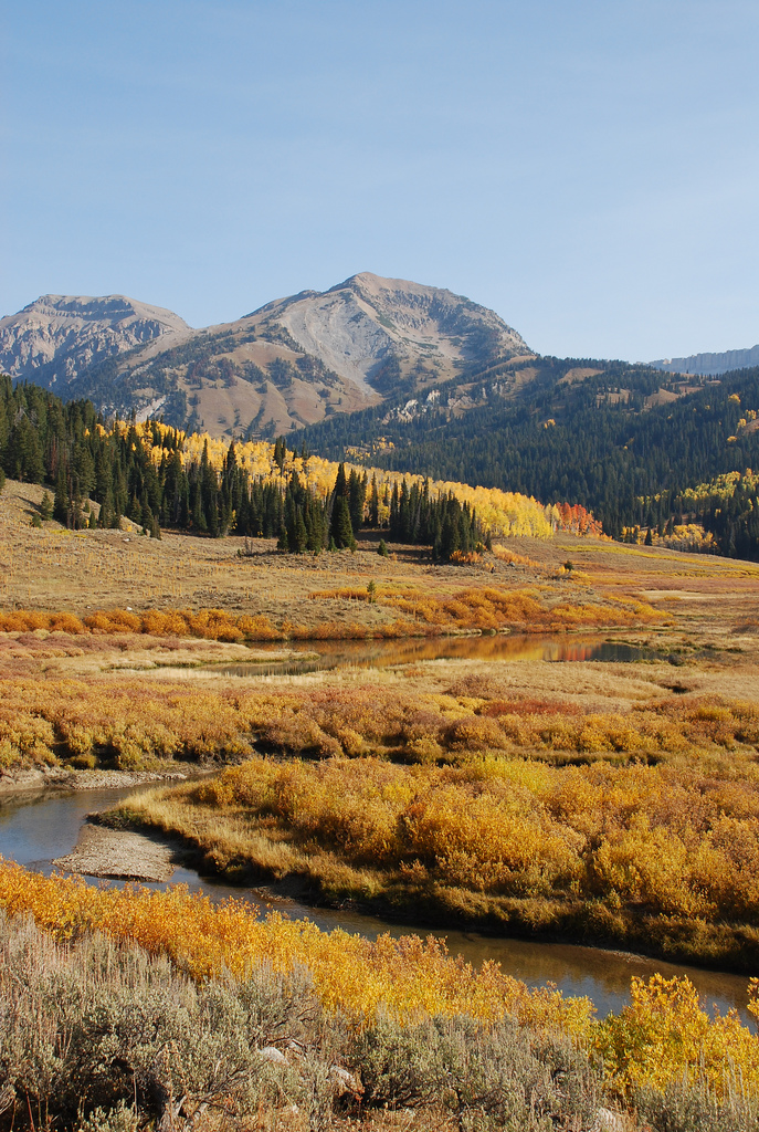 Shoal Creek, Wyoming - View upstream to the Gros Ventre Range from the Shoal Creek trail. Photo: Susan Marsh Shoal Creek, Wyoming - View upstream to the Gros Ventre Range, early October, from the Shoal Creek trail