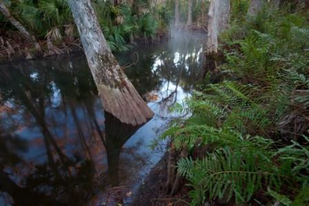 Loxahatchee River, Florida